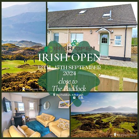 Appartamento The Paddock Killyleagh Esterno foto