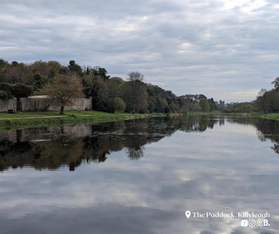 Appartamento The Paddock Killyleagh Esterno foto
