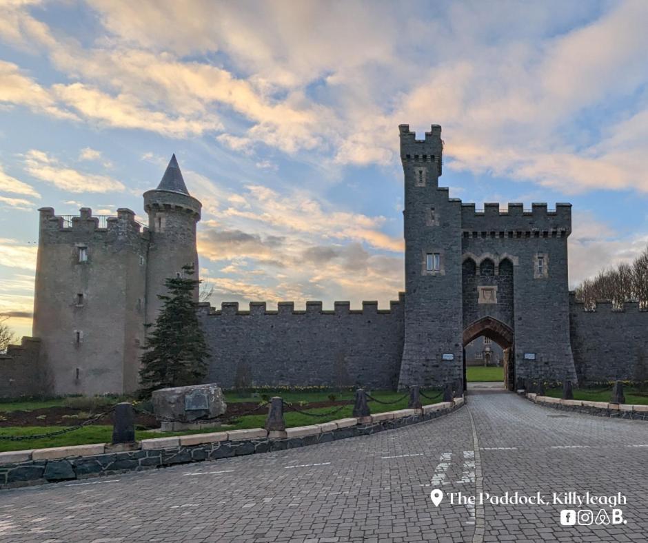 Appartamento The Paddock Killyleagh Esterno foto