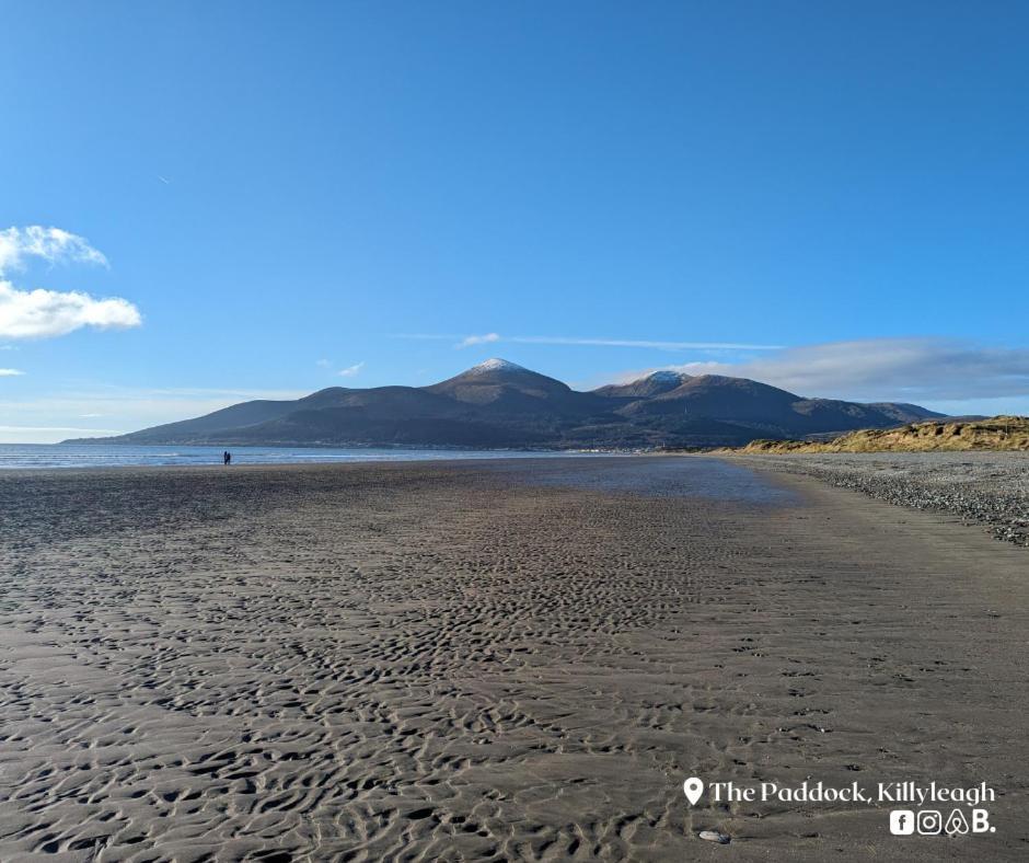 Appartamento The Paddock Killyleagh Esterno foto