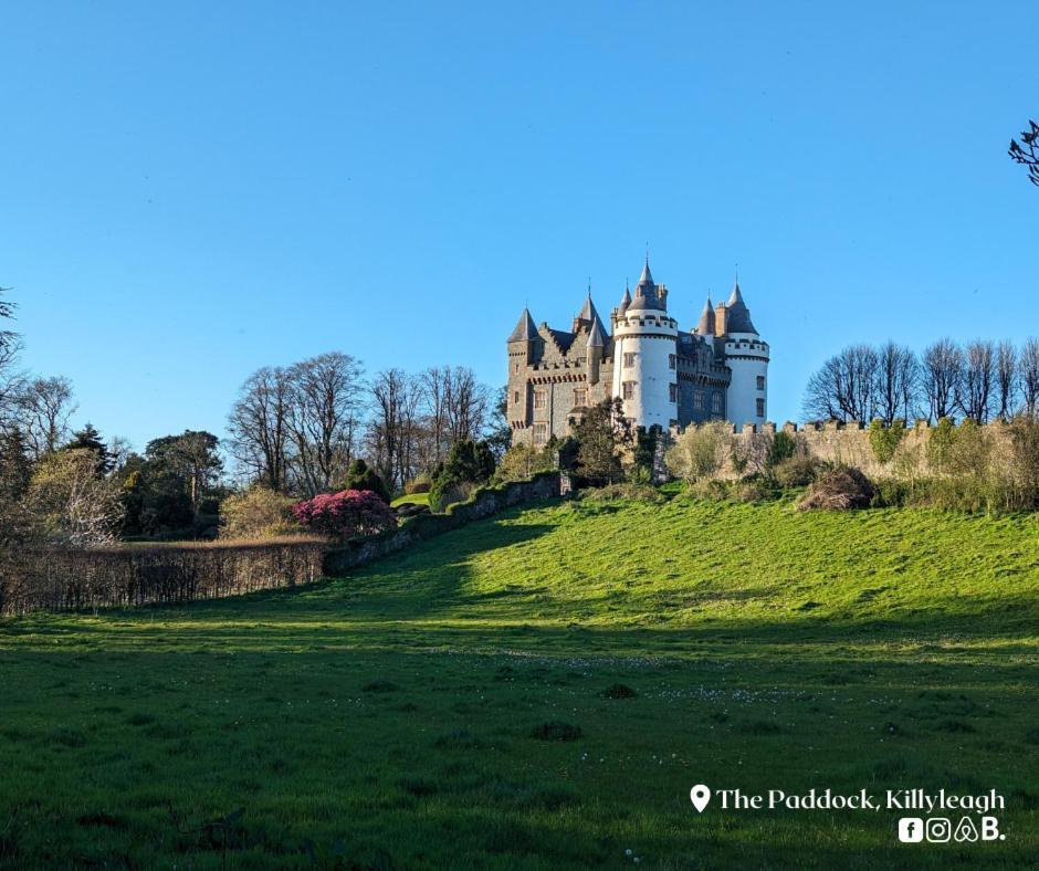 Appartamento The Paddock Killyleagh Esterno foto