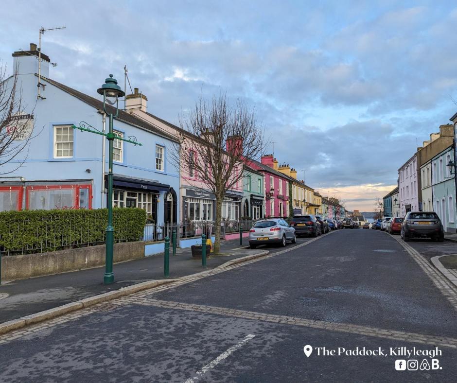 Appartamento The Paddock Killyleagh Esterno foto